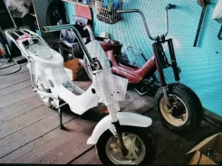 Honda Chaly. 50����. ��., ��������, ��� ���, ������ �� �� ����