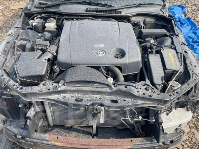 Toyota Mark X ����