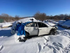 Toyota Windom ����