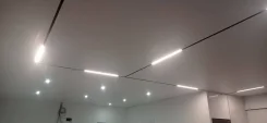 ������ �������� ��������. ����