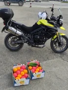 Triumph Tiger 800. 800����. ��., ��������, ���������, ������ �� �� ����