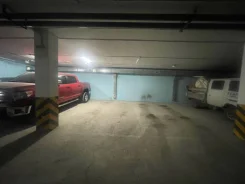 ����� �����������. ����
