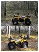 Promax Sport 300 Long Pro. ��������, ��� ���\���, �� ����