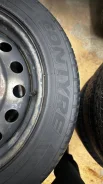 Contyre. ������, 2022 ���, �/�, ����� �� 5 % ����