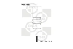 ������ 24.5x5x v163881 BG Automotive V163881 ����