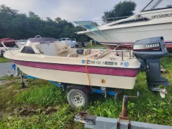 Yamaha Fish 15. 1981 ���, ����� 4,5��., ��������� ���������, 40��.�., ������ ����