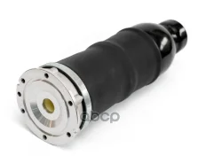 ������������ ��������. Absel, ������� AU345186. ��� ����� � ����������� - ���������� ���� ��������� ��������. Absel ���. au345186 AU345186 ����