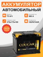 Cougar