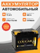 Cougar