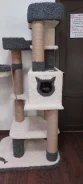 ������ ��� ����� ����
