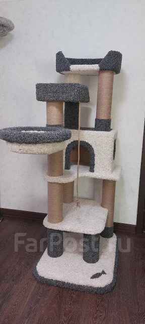 ������ ��� ����� ����