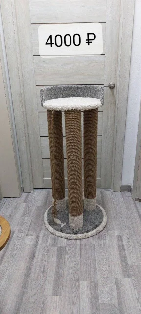 ������ ��� ����� ����