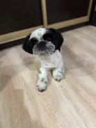 ��-���. ����