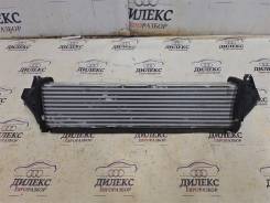 ���������� Exeed VX [302000507AA] 302000507AA ����