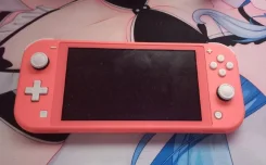 Nintendo Switch Lite ����