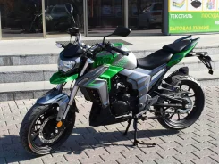 Regulmoto T-Leopard 300. 300����. ��., ��������, ��� ���, ��� �������. ��� ����� �� ������������ ����