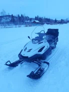 Yamaha Viking Professional. ��������, �� ����
