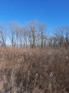 ��������� ������� 15 ����� � �. ��������. 15����., ��� ������� ������� ���������� ���������, �������������. ���� ������� ����