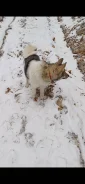 ���������������� �����. ����