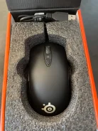 ���� �������. ����
