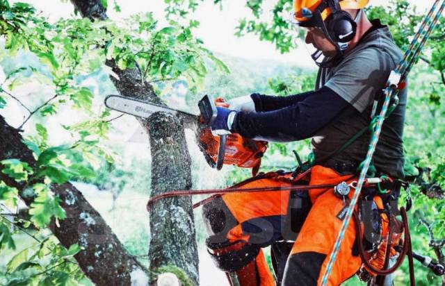 Вырубка участков, просек. Спил деревьев, валка леса в Хабаровске