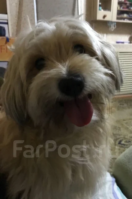 �������. ����