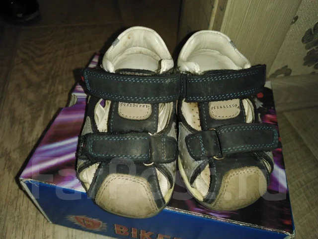 ��������. 19.5 ����