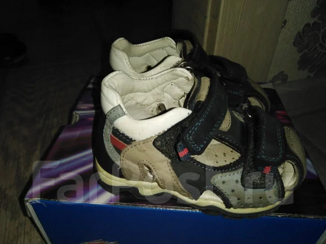 ��������. 19.5 ����