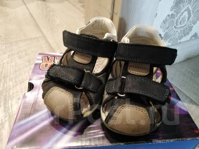��������. 19.5 ����