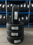 Triangle TE301. ������, 2023 ���, ����� ����