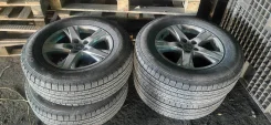 Accelera AT. ������, ��� �����, �/�, ����� �� 5 % ����