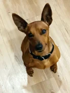 �����������. ����