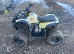 Irbis. ��������, ��, �� ����