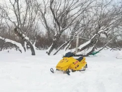 BRP Ski-Doo Mini Z. ��������, ��� ���, �� ����
