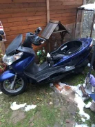 Suzuki Burgman. 200����. ��., ��������, ���������, ��� ������� ����