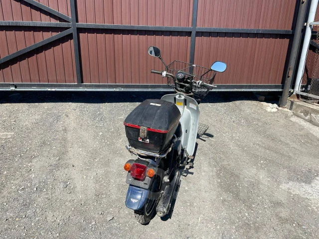 Suzuki Birdie. 50����. ��., ��������, ��� ���, ������ �� �� ����