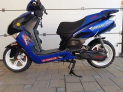 Irbis. 169����. ��., ��������, ���������, ������ �� �� ����