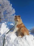 �����. ��� ����� �� �������� ����