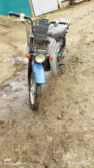 Suzuki Birdie. 50����. ��., ��������, ��� ���, ������ �� �� ����