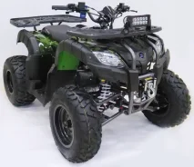 Motax ATV Grizlik 200 Lux. ��������, ��� ���\���, ��� �������. ��� ����� �� ������������ ����