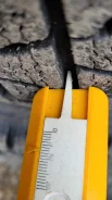Triangle TR797. ������, ��� �����, 2019 ���, �/�, ����� 30 % ����