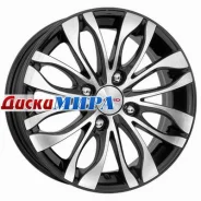 Rapid �������
