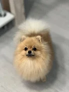 ����������� ����. ����