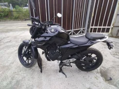 Yamaha FZ 25. 249����. ��., ��������, ���������, ��� ������� ����