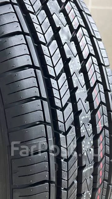 Gopro Entro CS1. ������, 2024 ���, ����� ����
