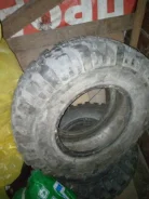 Truck Master. ����� at, 2020 ���, �/�, ����� 5 % ����
