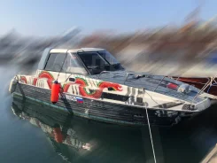 Nissan Suncat. 1991 ���, ����� 7,7��., ��������� ��� ��������� ����