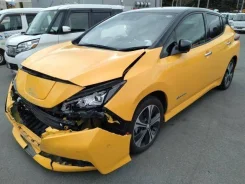 Nissan Leaf ����