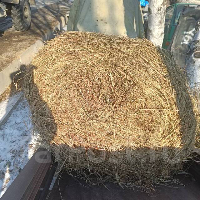 Продам сено в рулонах около 100 кг, кроликов, лошадей, с/х животных, в ...