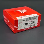 ������ ��������� (TPR) STD Hyundai G4FC/G4FA (Gamma) 42045 ����